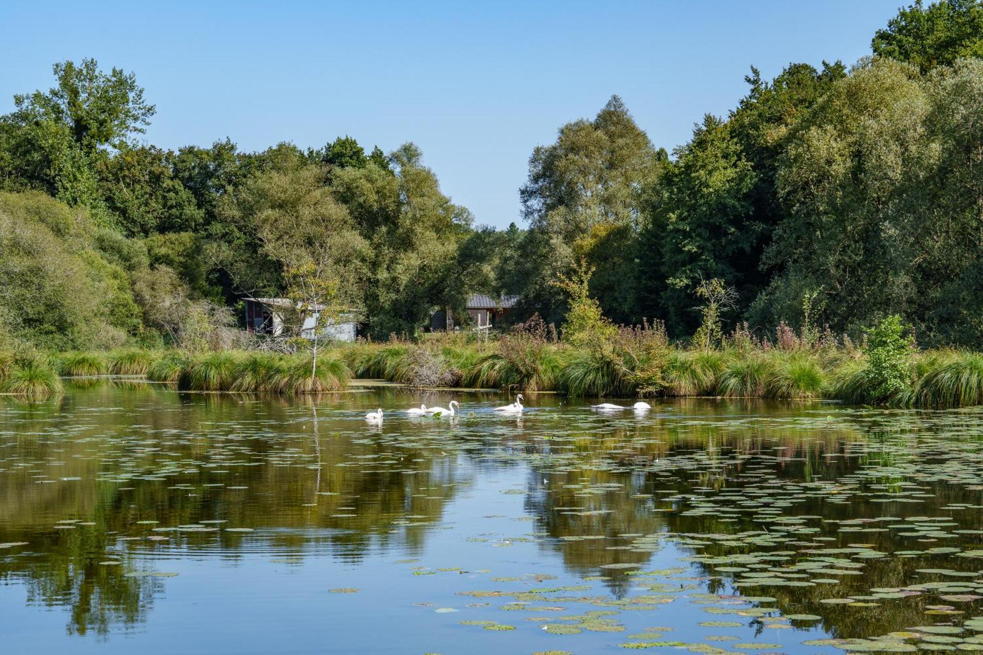 La Cabane Du Pont Du Douet Mazières-de-Touraine Buitenkant foto